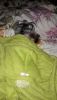 20170510_015248.thumb.jpg.953393d5f43a498e9861a6175fffe7c7.jpg