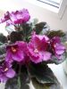 20170706_134402.thumb.jpg.8c98ba63120293182b2dd3174fe6b2a6.jpg