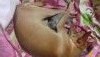20170730_152729.thumb.jpg.a1b9a896946bfa24981452c204cf8878.jpg?1501782150010