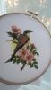 20170731_194044.thumb.jpg.51a5ecec04ed8bbd76ee1e8e133b1e90.jpg