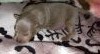 20170803_192412.thumb.jpg.15d323f944751a5daa71597144e6add3.jpg?1501782163722