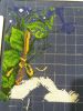 20170805_144429.jpg.f6758473ca8c5530de060c8168b436e9.thumb.jpg.b890d4e09303af05a12ccd2eb7e38d5c.jpg