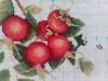 20170808_070408.jpg.9328edfd92e11d779e58513929e42c38.thumb.jpg.ec45e0d732ff3648dd02d68699d34ccc.jpg