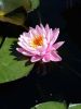 20170809_140120.thumb.jpg.bd090c86d341722252ef34a865d7c375.jpg