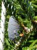 20170809_142459.thumb.jpg.5fe7612f959a3264014e0bd2ccd87861.jpg
