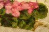 20170810_125643-1.thumb.jpg.13da197b8bcf10f1aa29a3b82c71d8fc.jpg