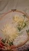 20170810_215615.thumb.jpg.0ae0cad2480b625f6730e2b2322cc875.jpg?1503473240392