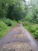 20170811_123655.thumb.jpg.29c8aea9ef20995d649a95edcc28f490.jpg