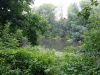 20170811_123701.thumb.jpg.a29fd2deb8013dabbcec466910e31c5a.jpg