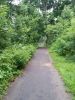 20170811_124412.thumb.jpg.e0530477a17351a812c66b01c16a32af.jpg