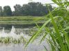 20170811_131432.thumb.jpg.d8c3680a09472eebfbd173eea6b92873.jpg