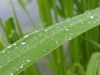 20170811_131441.thumb.jpg.dea4da1814b849a6fdfddcffcc813a28.jpg