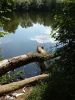 20170812_141931.thumb.jpg.6f86abed52ab3209e67a35a1b892b684.jpg