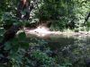 20170812_143604.thumb.jpg.fe7dbe8c260342bf7422dfefc0ed0a69.jpg