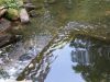 20170812_145529.thumb.jpg.311bb566a6204c07221b8fe28a9812be.jpg