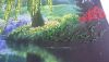20170817_092203.thumb.jpg.defbad5cc3c2731a554228c6baf70fbc.jpg