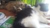 20170818_112710.thumb.jpg.83f9fb340efac164d22cf4e96f28970a.jpg