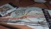 20170820_222725.thumb.jpg.854ac2cbc7d00b0daf7c40d9412c5ea2.jpg