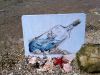 20170826_135154.thumb.jpg.4df48b751740edee5580aa93a0cedd47.jpg