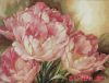 Dimensions 35175, Трио тюльпанов (Tulip Trio)