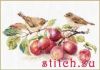 36723.thumb.jpg.4bbee6a6b6d0bdf6e3e8d25906836f3b.jpg
