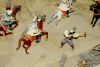 5982f66d92302_DSC_4304copy.thumb.jpg.57d16fb87fc36cf90cccbd9420f3ddf4.jpg