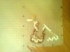 5999b06b339b8_0758.thumb.jpg.367fa881c42d8a62ff761e9d3c8a0ea7.jpg