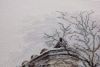 59a29408e1514_DSC03149(1980x1320).thumb.jpg.ceb21cc599b104a42e5c7142e7c98e1e.jpg