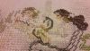6.thumb.JPG.b3510c2ecd8d597fac39fa3ead63cbe7.JPG