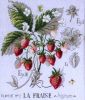 6e7bc7f583c44943acad571f8179c95c--crossstitch-cross-stitching.thumb.jpg.0aed983cfc9373f9b7b1aa7aca28a9f3.jpg
