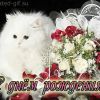 86csa1o193d3221df004932cf017d0dl.thumb.jpg.63eabef7768921e8fcd44b106832c313.jpg