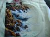 DSC02610.thumb.JPG.d98db09e8e0d438f5893ce9a27c2a625.JPG