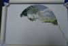 DSC02954.jpg
