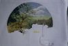 DSC03383.thumb.jpg.eeec688dfdcae6253a6753029649686d.jpg