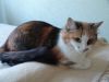 DSC04078_.jpg.3594bd3f72d59e6fee666d7123435b63.thumb.jpg.43df3ddb8945ad5d62616b8ee85b2fdc.jpg