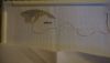 DSC05231_1.thumb.jpg.7a8311985575a3bc48fb8027bd7c5414.jpg