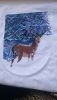 DSC_0013.JPG.27842e834621662b630b0903d49ebefb.thumb.JPG.bed9111cd88e012d7f71d05b027d1dd6.JPG