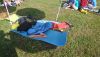 DSC_0122.thumb.JPG.7f78810acc7a6792f536d6cb34e40095.JPG