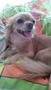 DSC_0384.thumb.JPG.0053b7284150418092f1cf43e09aa4a3.JPG