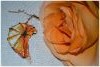 DSC_0491.thumb.jpg.fee0b84c8ab02cf991c5053fcbaec2e5.jpg?1502106232301