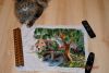 DSC_0518.jpg.a5dab67541c3e262d81031e4693597d4.thumb.jpg.2d7c85b2eca9f96ead8b240fec3617d4.jpg