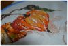 DSC_0552.thumb.jpg.639bb6598d928239f6744c99190c565c.jpg