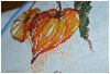 DSC_0557.thumb.jpg.a8906fd27084aa631eeaa76c1b82be32.jpg