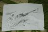 DSC_4100.thumb.jpg.4efe15589bf46acad43200cae94a66b2.jpg