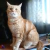 DSC_6463.thumb.JPG.aff31d8b3fea3308174f03deb6de0617.JPG