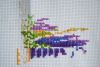 DSC_8773.thumb.jpg.06d06dceb7798c2bd789de1dc95cddf8.jpg