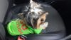 IMG-20161114-WA0000.thumb.jpg.828807bba1145aca548c30a4c0f936ca.jpg