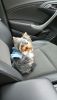 IMG-20170315-WA0005.thumb.jpg.569bdd73b1dff175c21acbd5b85df3a7.jpg
