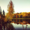 IMG_1729.thumb.PNG.379f499827f35947640571a52eb47b4c.PNG