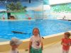 IMG_1930.thumb.JPG.b94443fedafd57ac43749f29563e6463.JPG